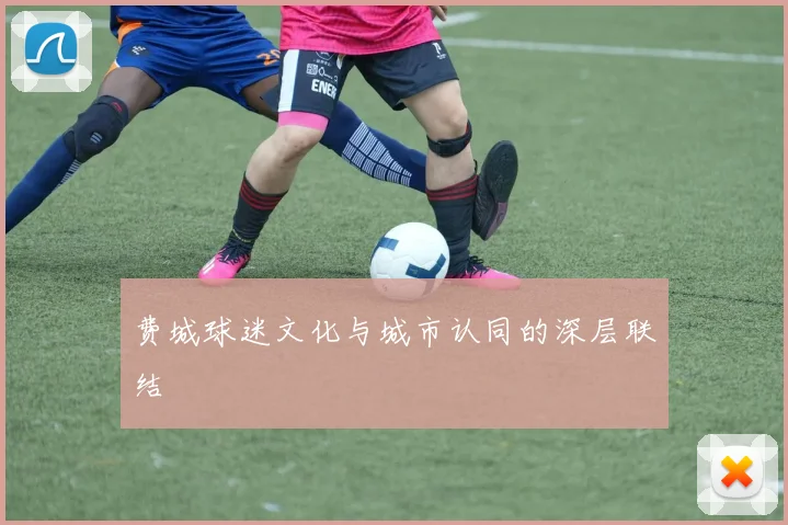 费城球迷文化与城市认同的深层联结