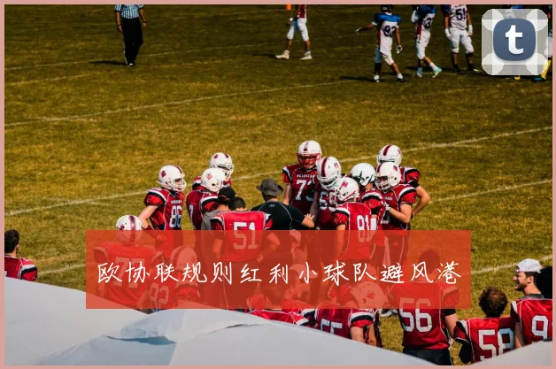 欧协联规则红利小球队避风港