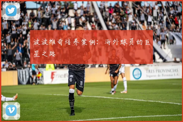 波波维奇培养案例：海外球员的巨星之路